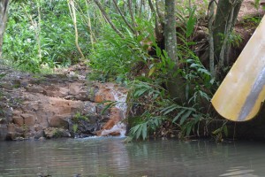 Natureza TOCA
