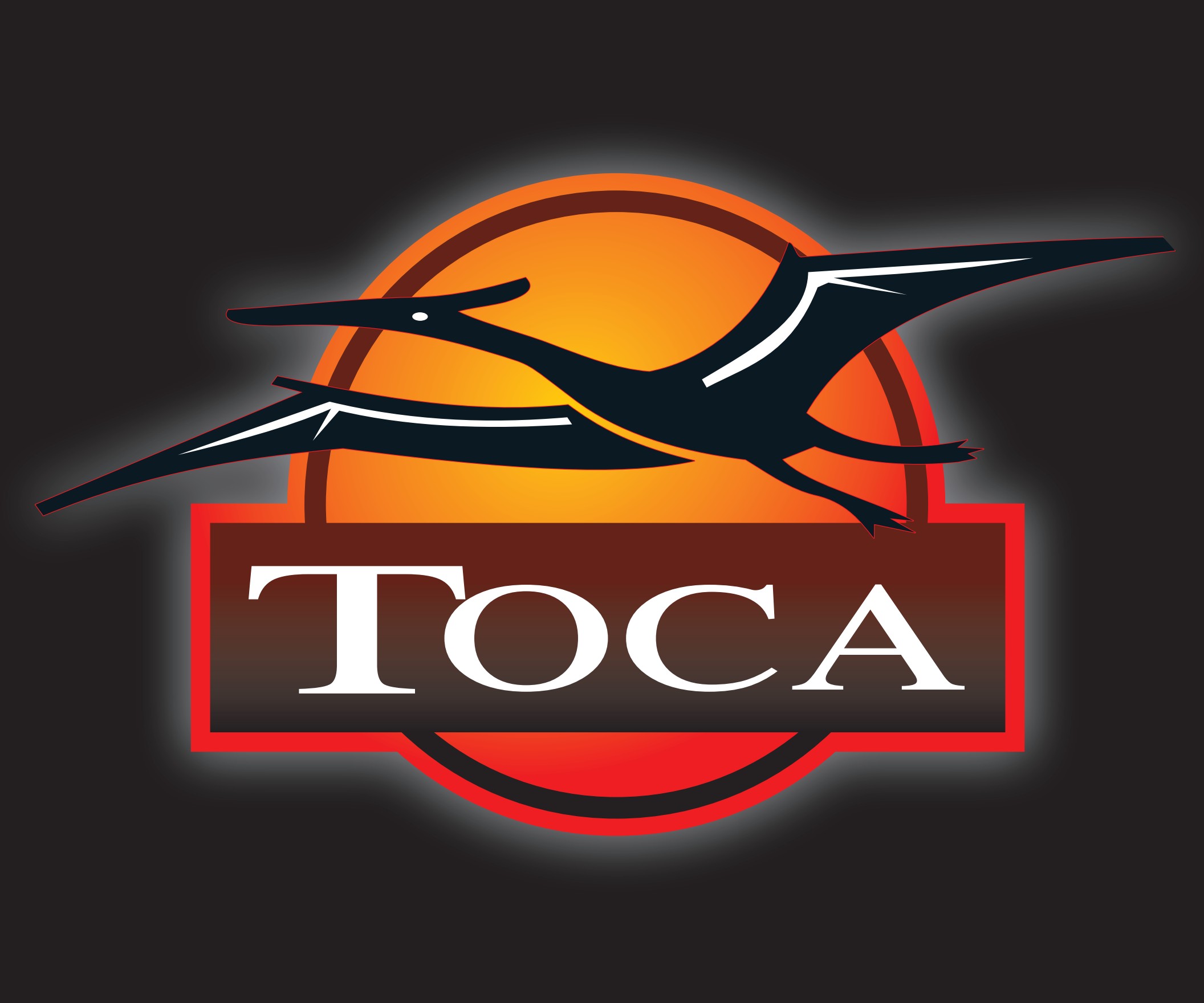 logo-toca