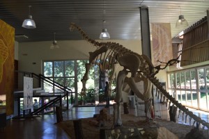 Museu dos Dinossauros